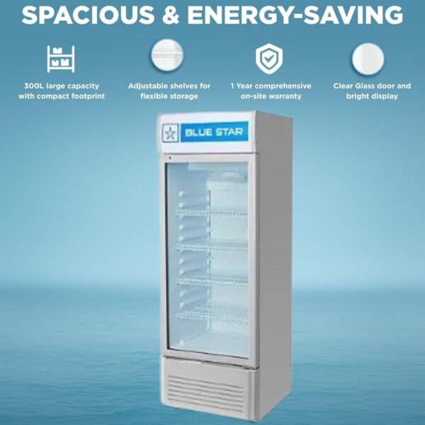 Blue Star 300 Litre Visi Cooler VC325D 1
