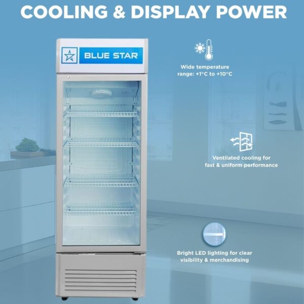Blue Star 300 Litre Visi Cooler VC325D 2