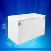 Blue Star Deep Freezer CF3-500MEW 4 Blue Star Deep Freezer CF3-500MEW 4