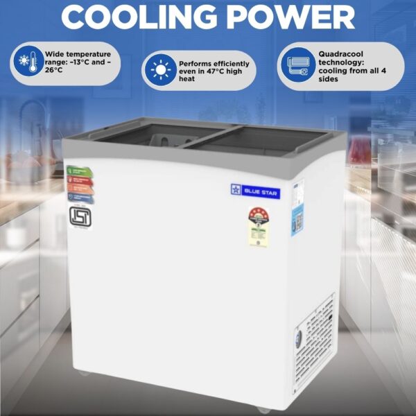 Blue Star 161 Litre Deep Freezer GT5-180NP 2
