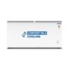 Blue Star 300 Liter Deep Freezer CF3-300MEW Main