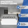 Blue Star 421 Litre Deep Freezer GT5-475N_NP 1 Blue Star 421 Litre Deep Freezer GT5-475N_NP 1