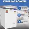 Blue Star Deep Freezer CF2-90NEYW 2 Blue Star Deep Freezer CF2-90NEYW 2