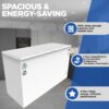 Blue Star Deep Freezer CF3-300MEW 1
