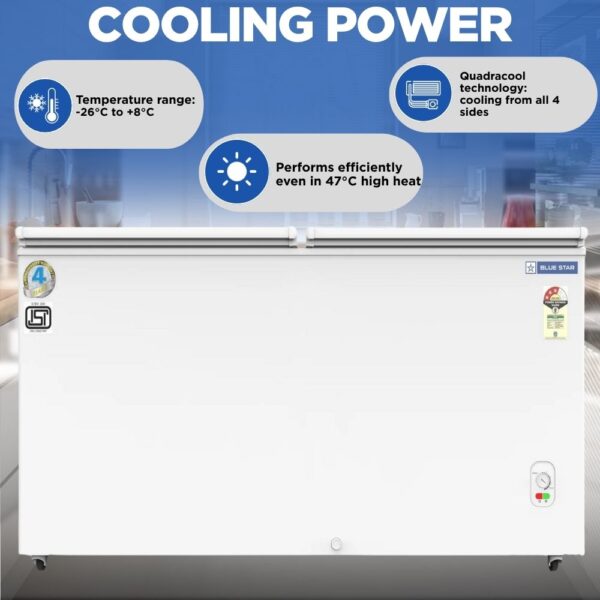 Blue Star Deep Freezer CF3-300MEW 2