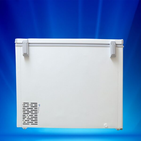 Blue Star Deep Freezer CF4-230NEYW 7