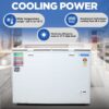 Blue Star Deep Freezer CF5-330NEYW 2 Blue Star Deep Freezer CF5-330NEYW 2