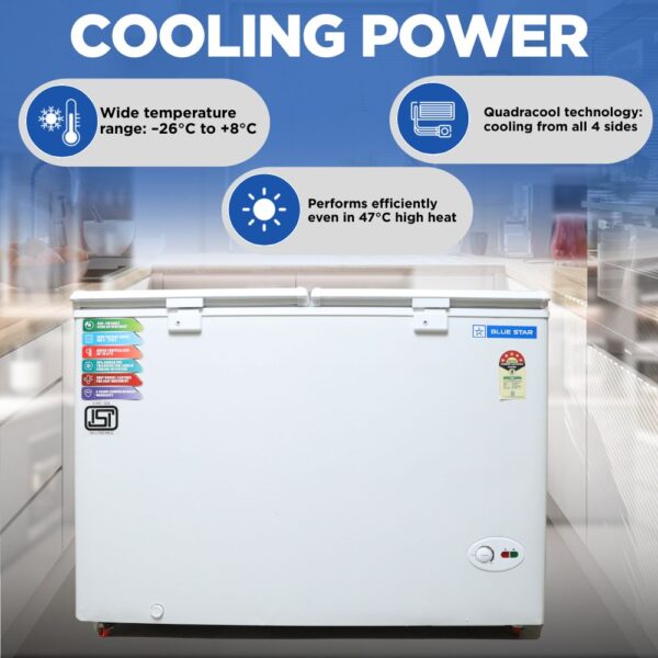 Blue Star Deep Freezer CF5-330NEYW 2