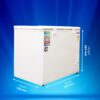 Blue Star Deep Freezer CF5-330NEYW 4 Blue Star Deep Freezer CF5-330NEYW 4