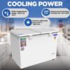 Blue Star Deep Freezer CF5-396NEYW 2 Blue Star Deep Freezer CF5-396NEYW 2