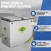 WESTERN 224L Deep Freezer D300H224 1 WESTERN 224L Deep Freezer D300H224 1