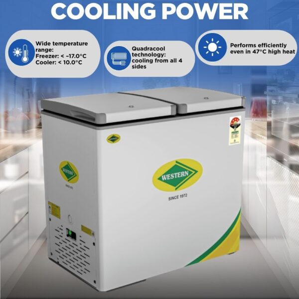 WESTERN 224L Deep Freezer D300H224 2