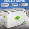 WESTERN 306L Deep Freezer D375H225 2