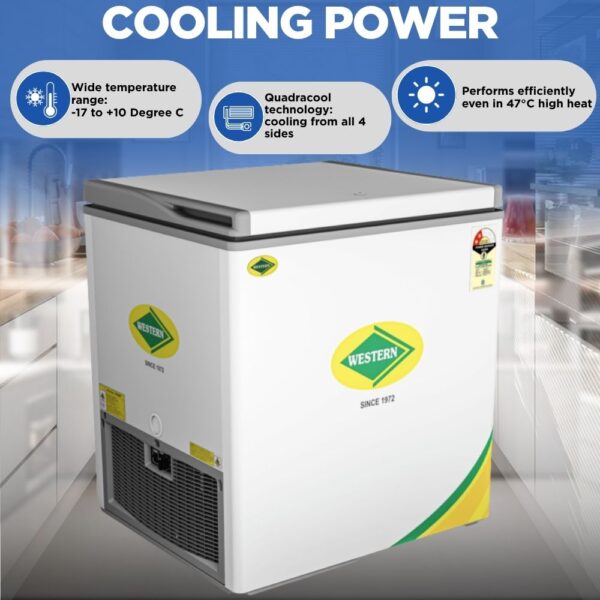 Western 190 Liter Deep Freezer D225H122 2