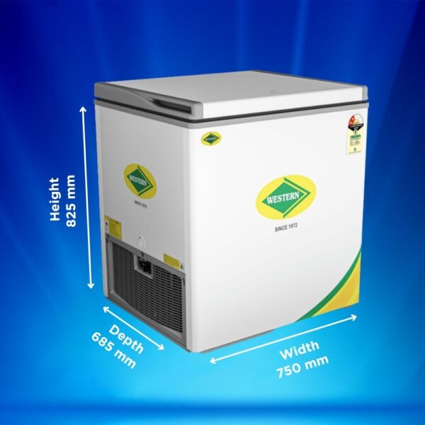 Western 190 Liter Deep Freezer D225H122 4