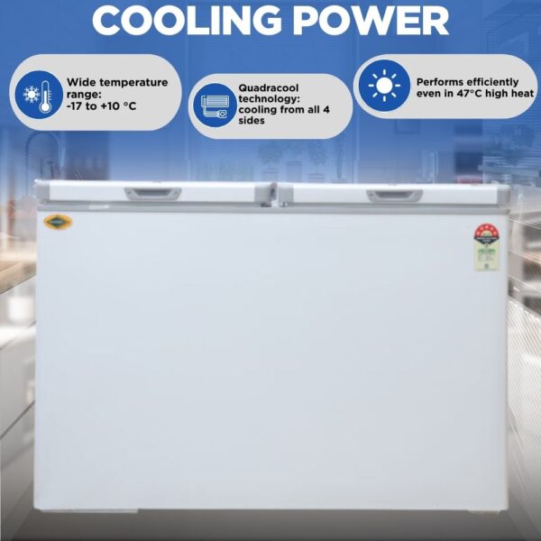 Western 301 Liter Deep Freezer D325H223 2