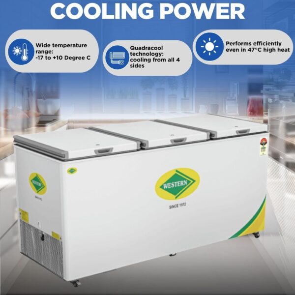 Western 722 Liter Deep Freezer D875H325 2