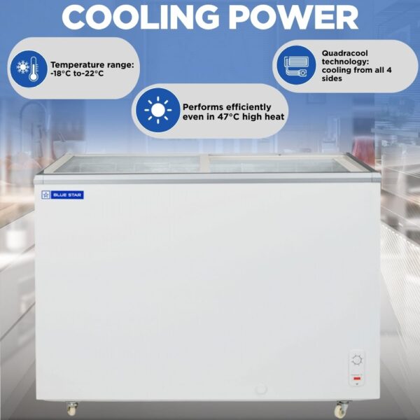 Blue Star Glass Top Deep Freezer GT4-300M 2