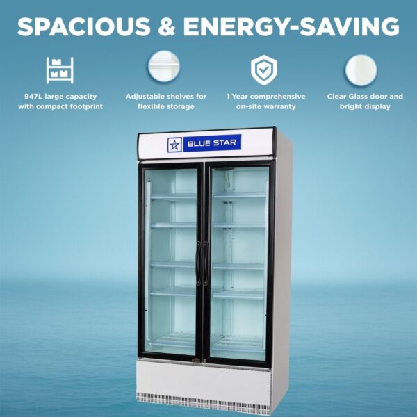 Blue Star Visi Cooler SC1000F 1