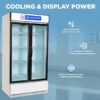 Blue Star Visi Cooler SC1000F 2