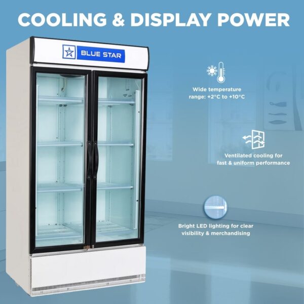 Blue Star Visi Cooler SC1000F 2