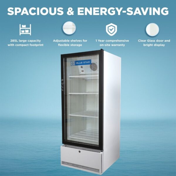 Blue Star Visi Cooler SC300F 1