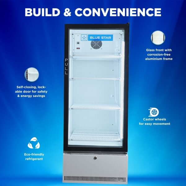 Blue Star Visi Cooler SC300F 3