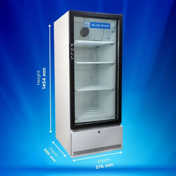 Blue Star Visi Cooler SC300F 4