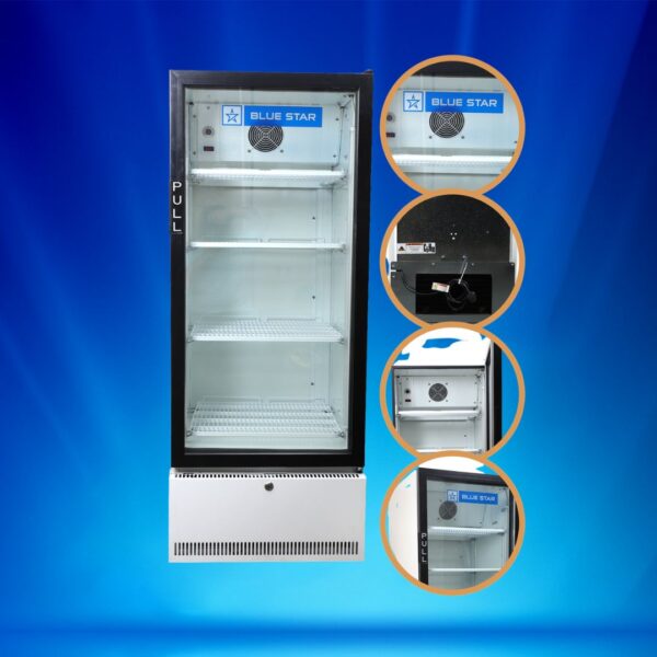 Blue Star Visi Cooler SC300F 7