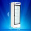 Blue Star Visi Cooler SC500F 4 Blue Star Visi Cooler SC500F 4