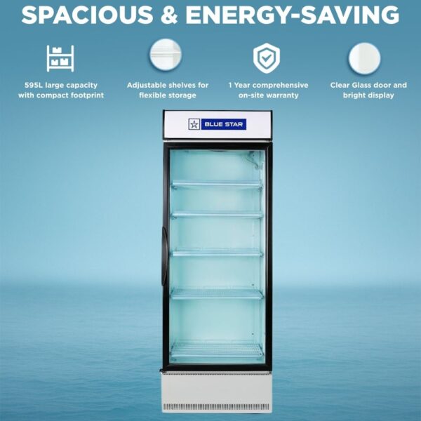 Blue Star Visi Cooler SC650F_SC650F-B 1