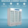 Blue Star Visi Cooler VC1200CD _ VC1200CD-B 1075 Litre Triple Door 1