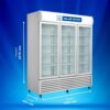 Blue Star Visi Cooler VC1200CD _ VC1200CD-B 1075 Litre Triple Door 4