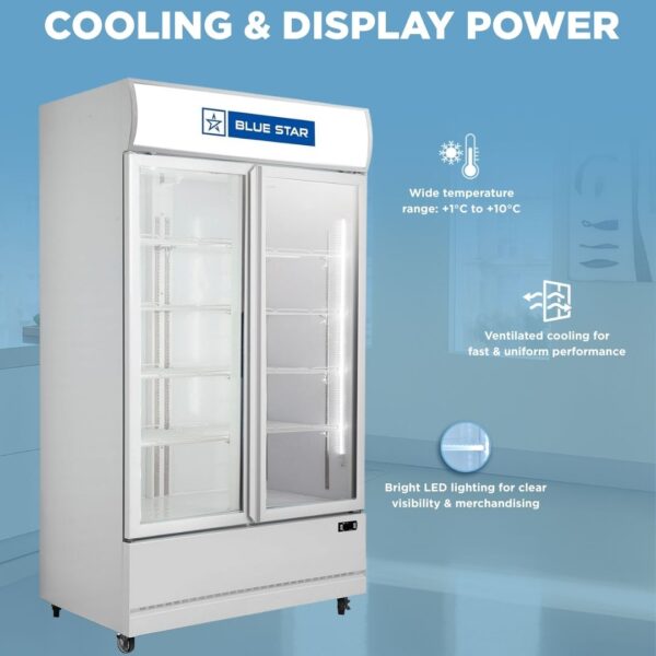 Blue Star Visi Cooler VC600CD 2