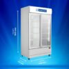 Blue Star Visi Cooler VC800CD 4 Blue Star Visi Cooler VC800CD 3