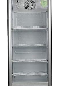 ECG 305 Dlx Main