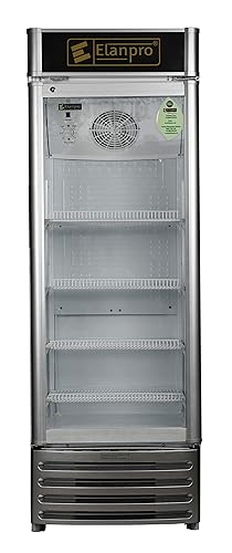 ECG 305 Dlx Main