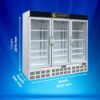 Elanpro Visi Cooler ECG 1506 4 Elanpro Visi Cooler ECG 1506 4