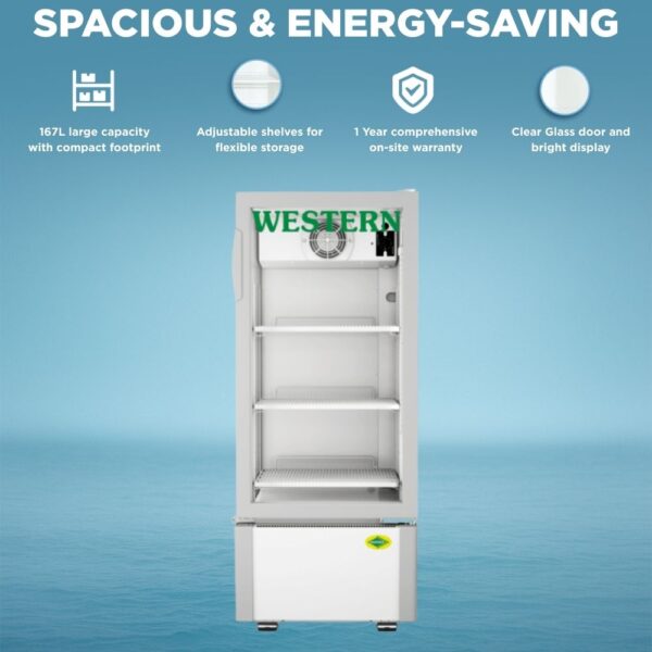 Western Visi Cooler SRC200HC-GL167 1