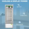 Western Visi Cooler SRC381HC-GL 2