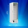 Western Visi Cooler SRF900-GL 4 Western Visi Cooler SRF900-GL 4