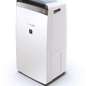 DW-J20FM-W